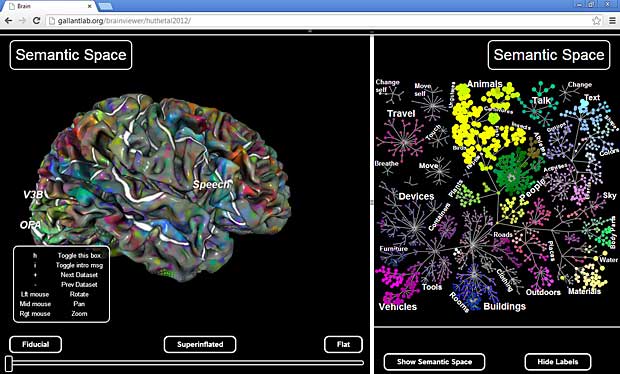 Pycortex WebGL fMRI brain viewer