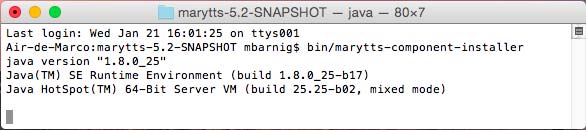 Mary TTS Component Installer