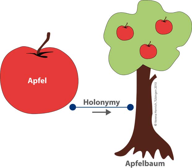 WordNet Holonymy