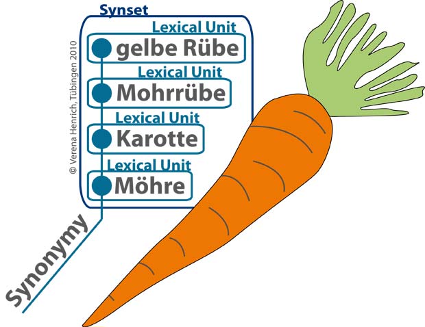 WordNet Synonymy