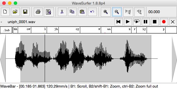 WafeSurfer . checking labels