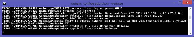 Orthanc Server output in verbose mode