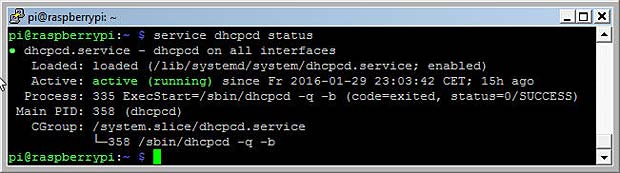 dhcpcd status