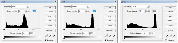 Color adjustment with Levels Tool in Photoshop