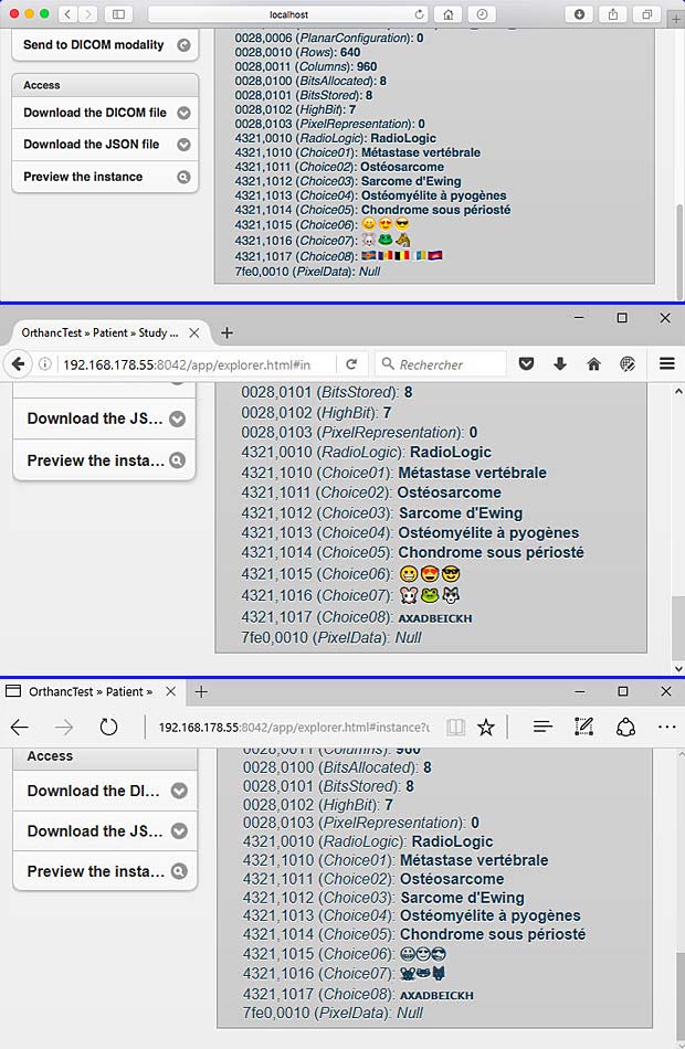 Orthac Explorer "Instance Page in different Web-Browsers : Safari, Firefox and Microsoft Edge