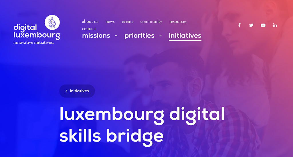 Digital Skills Bridge